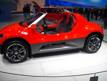 Buggy (5)