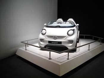Smart (3)