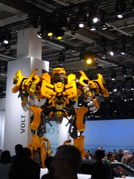 stewards (14)