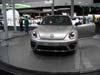 New Beetle (2)