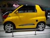Smart (12)